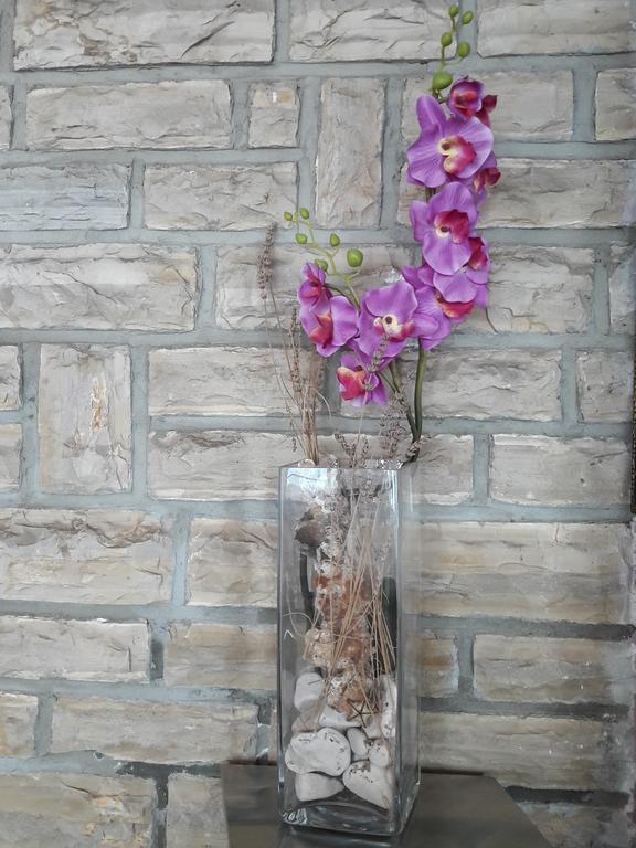 Pansion Alen - Dugi Otok Bed & Breakfast Luka  Ngoại thất bức ảnh